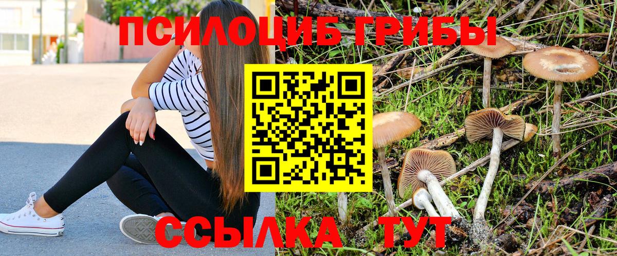 Галлюциногенные грибы Cubensis  Псилоцибиновые грибы Psilocybe  Борзя  Вход с VPN 