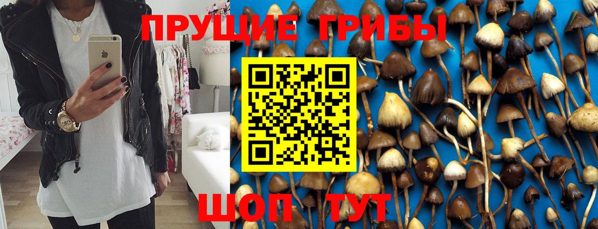 Галлюциногенные грибы Magic Shrooms Борзя